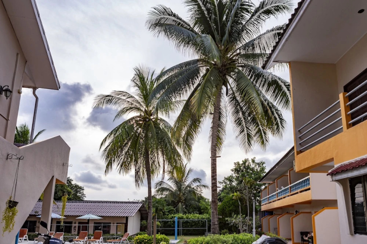 The Coconut ResortOver view