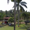Отель Pousada Jardim da Amazônia, фото 10