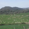 Отель Agriturismo La Valle degli Ulivi, фото 7