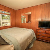 Отель 1555 - Owl Pine Cabin, фото 1
