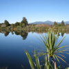 Отель Ferntownlodge, фото 10