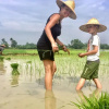 Отель Nguyen Family Homestay, фото 5