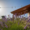 Отель Krcina Holiday Home, фото 1
