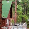 Отель Cool Pines Cabin, фото 5