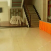 Отель Thank Inn Plus Shandong Linyi Lanshan District People Square, фото 2