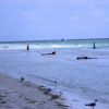 Отель The Anna Maria Island Beach Sands 101 - 2 Br condo by RedAwning, фото 13