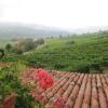 Отель Agriturismo Ronco delle Rose, фото 4
