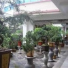 Отель Daxianglong Tea Theme Hotel - Baoshan, фото 7
