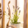 Отель Holiday Home Smokovec, фото 7