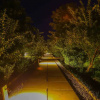 Отель V Resorts Tiger Inn Comfort Ranthambore, фото 35
