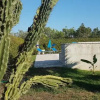 Отель B&B Plathea, фото 6
