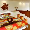 Отель Punta Arena Surf Suites, фото 7