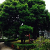 Отель Mingyue Holiday Hotel, фото 16