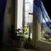 Отель White Lady Bed and Breakfast, фото 9
