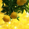 Отель Villetta Clelia, фото 2