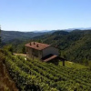 Отель Casa Piemontese, фото 10