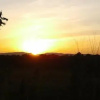 Отель Isumi & Risara Home Stay, фото 3