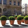 Отель Appartements Hôtel de Ville - Lyon Cocoon, фото 9