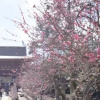 Отель Le Machiya Kamishichiken, фото 13