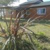 Отель Bungalows Arandano, фото 3