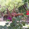 Отель Posada Rancho Prado, фото 6