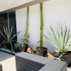 Отель Habitación Potter, фото 14