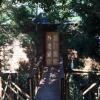 Отель Magoebaskloof Adventures Chalets, фото 4