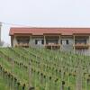 Отель Winzerhaus am Gamlitzberg, фото 10