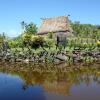 Отель Abaca Village Stay, фото 2