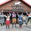 Отель York Horse Riding Club, фото 5