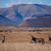 Отель Samara Private Game Reserve, фото 23