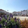 Отель O Pomar Holiday Village, фото 11