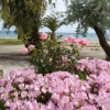 Отель AM Beach House, фото 12