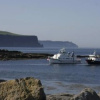 Отель Doolin Cottage B&B, фото 11