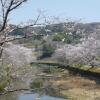 Отель Tabinoashiato Guest House, фото 6