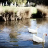 Отель Daylesford Lake Villa 1, фото 9