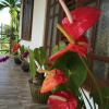 Отель Heesara Holiday Resort, фото 8