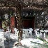 Отель Hosteria Las Violetas, фото 7