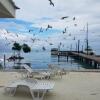 Отель The Club At Caye Caulker, фото 8