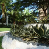 Отель Dumaguete Paradise Garden, фото 2