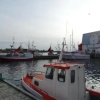 Отель Burekka 17, Lofoten, фото 1