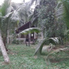 Отель swarna home stay, фото 5