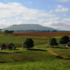Отель Blackbrook Farm Underberg, фото 2