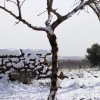 Отель Casa Salto de Roldán, фото 2