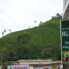 Отель Hill Crest, фото 14