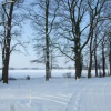Отель Landgoed Nieuwhuis, фото 11