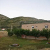 Отель Guesthouse Miladinović, фото 8