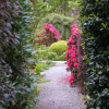 Отель Bleanaskill Lodge & Achill Secret Garden, фото 1