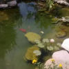 Отель Taormina Villa Ibiscus Alcantara, фото 6