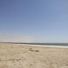 Отель DeSoto Beach Terrace, фото 12